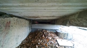 IMG_20150315_132700072